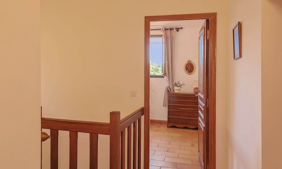 Photo of Others in San-Nicolao