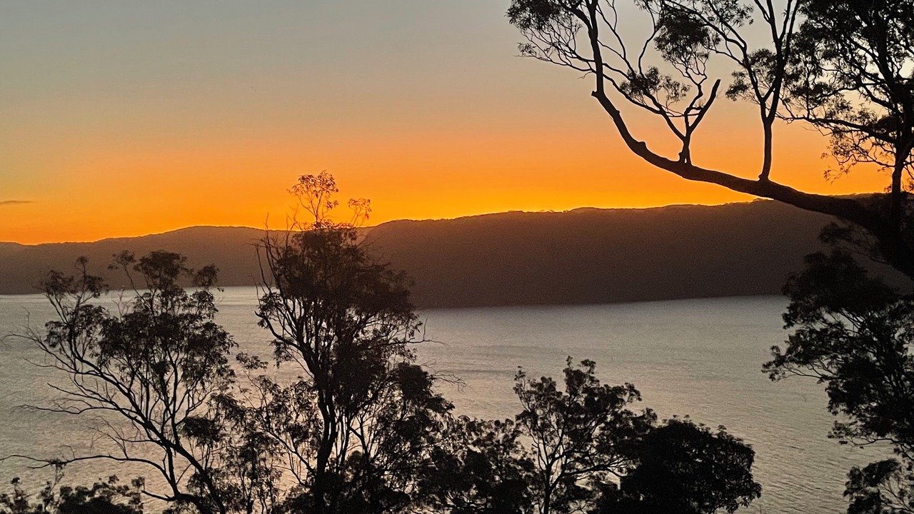 Photo of Others in Avalon Beach