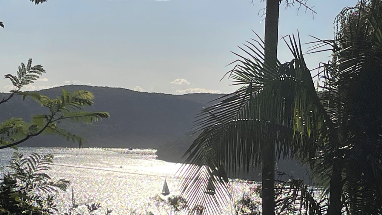 Photo of Others in Avalon Beach