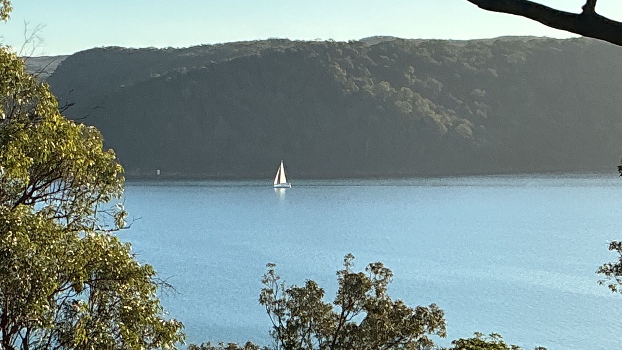 Photo of Others in Avalon Beach