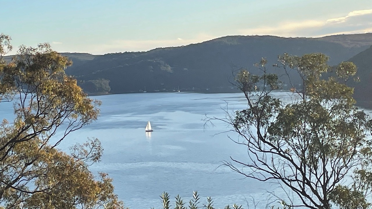 Photo of Others in Avalon Beach