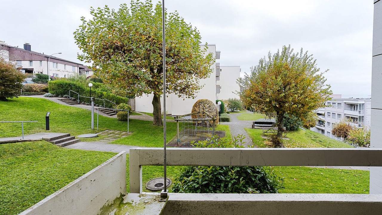Photo of Outdoor in Horgen District
