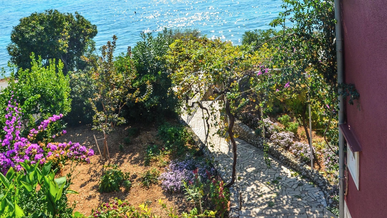 Photo of Outdoor in Kuciste