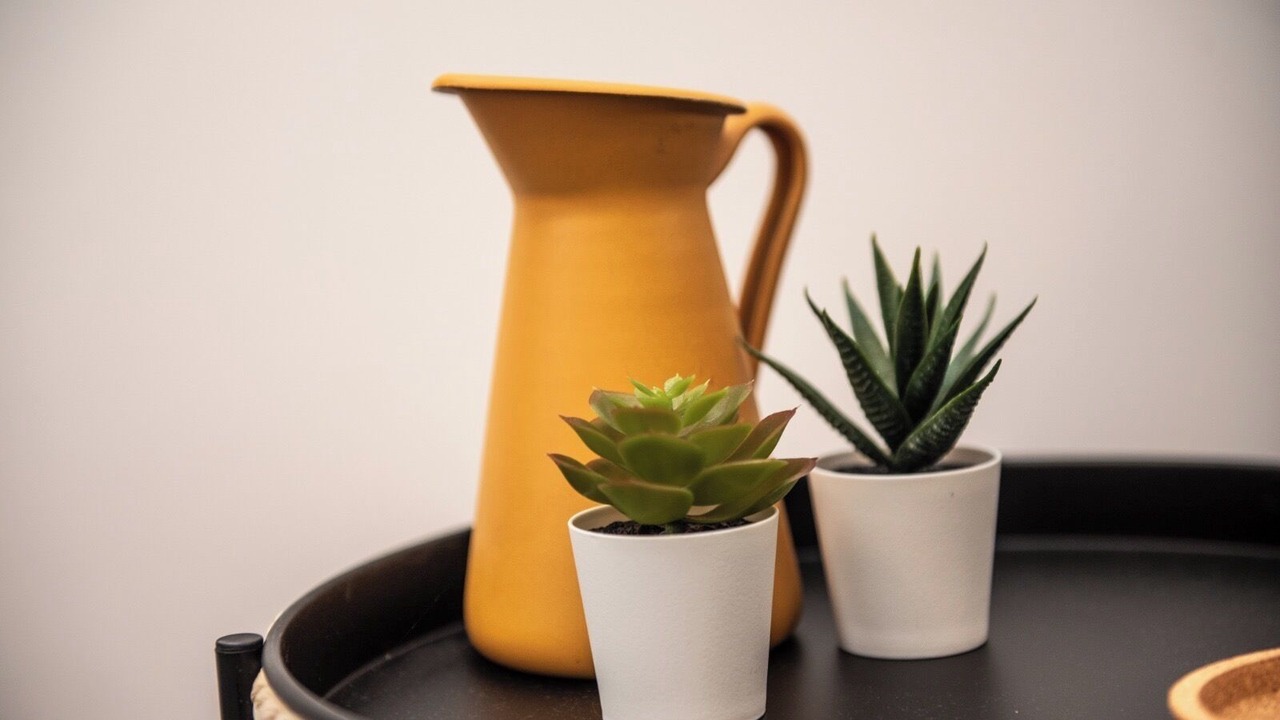 Photo of Others in Little Eaton