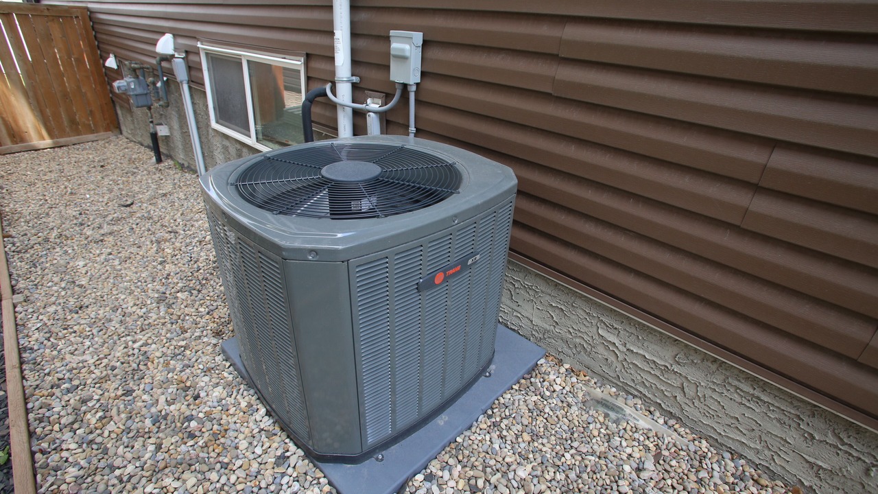 Photo of Others in Evanston