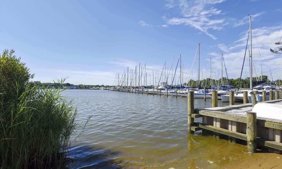 Photo of Others in Selby-on-the-Bay