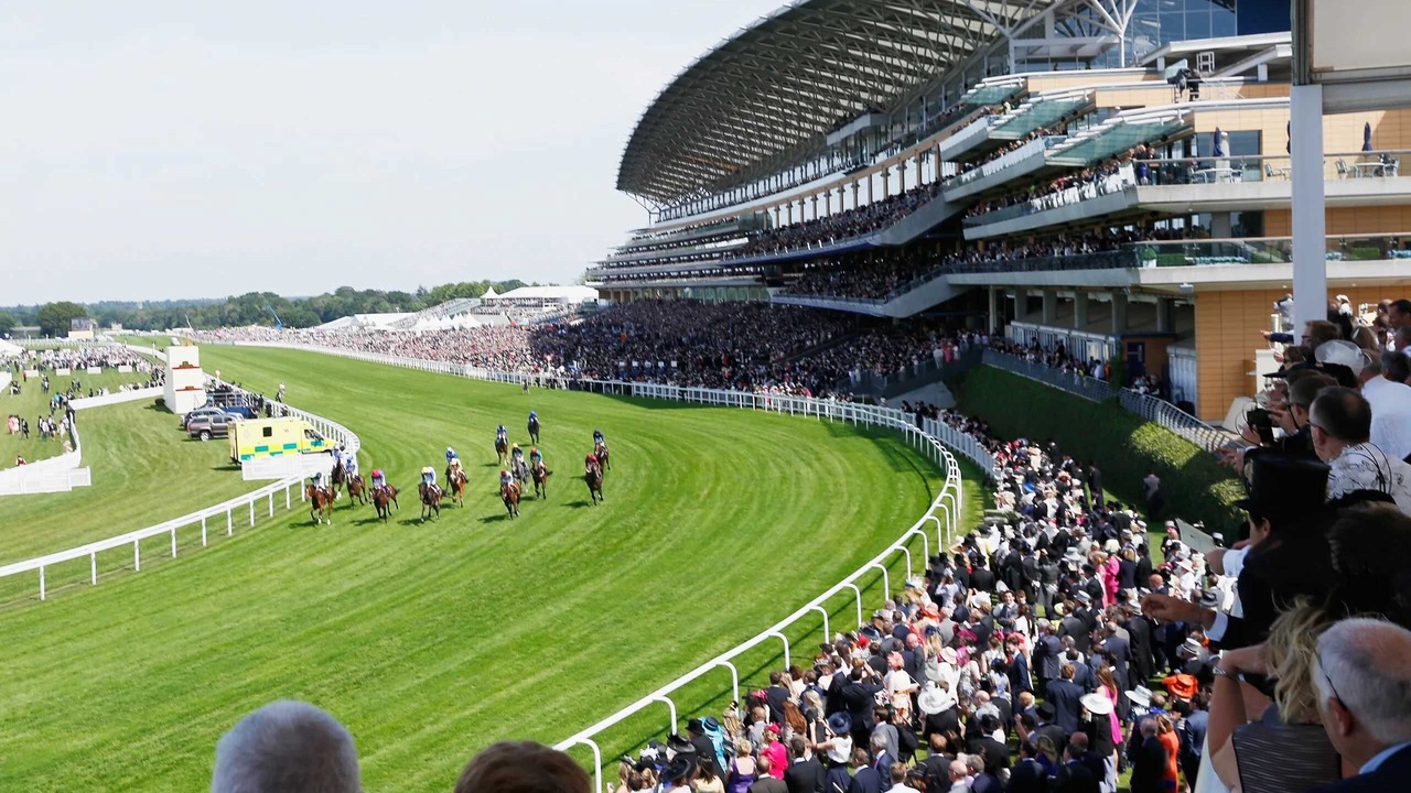 Photo of Others in Bracknell