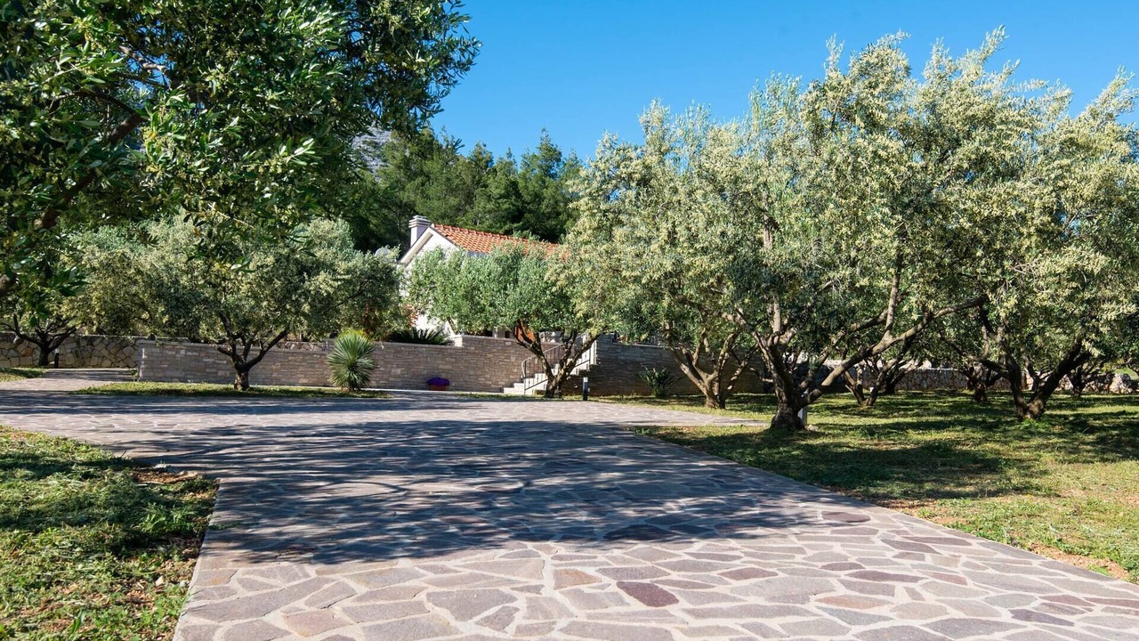 Photo of Outdoor in Orebic