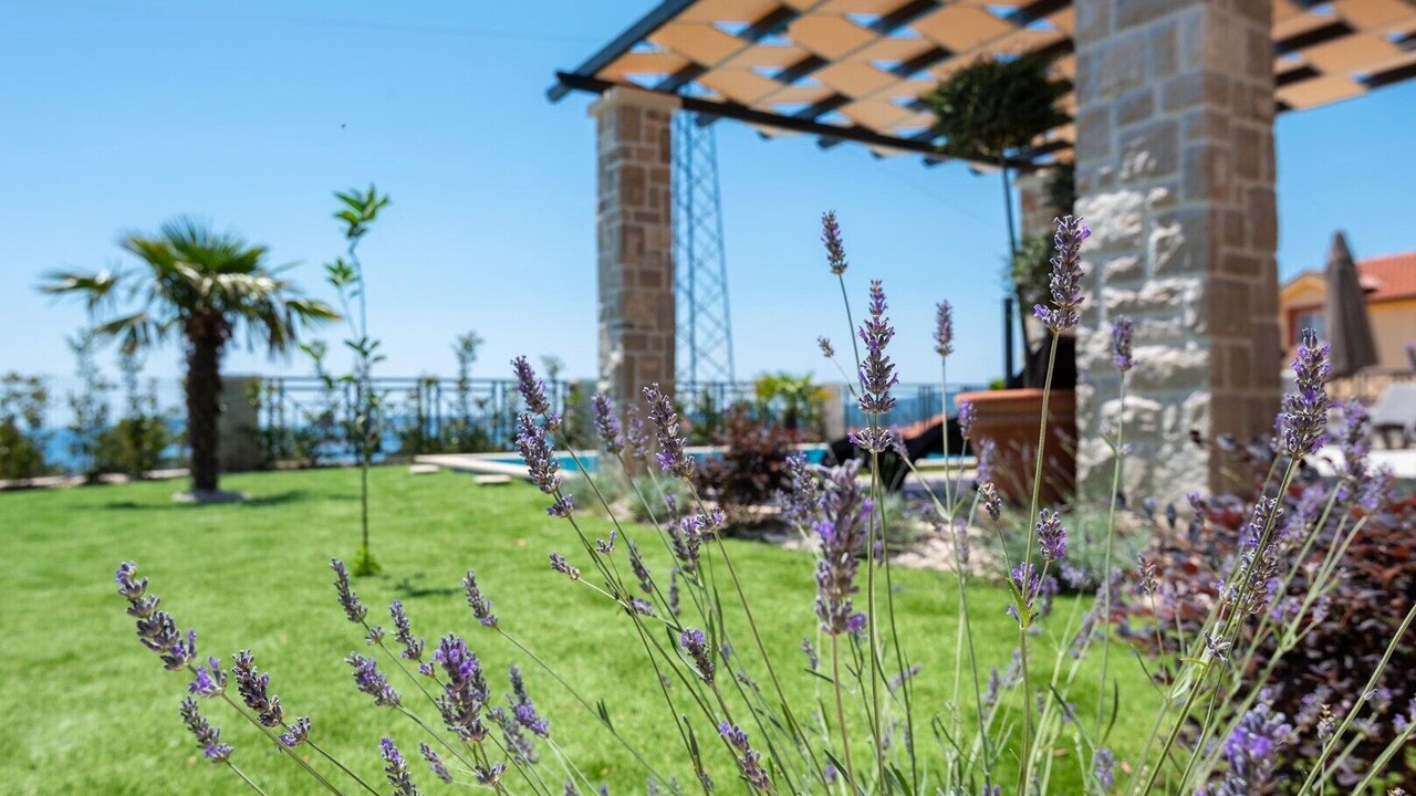 Photo of Outdoor in Stankovici