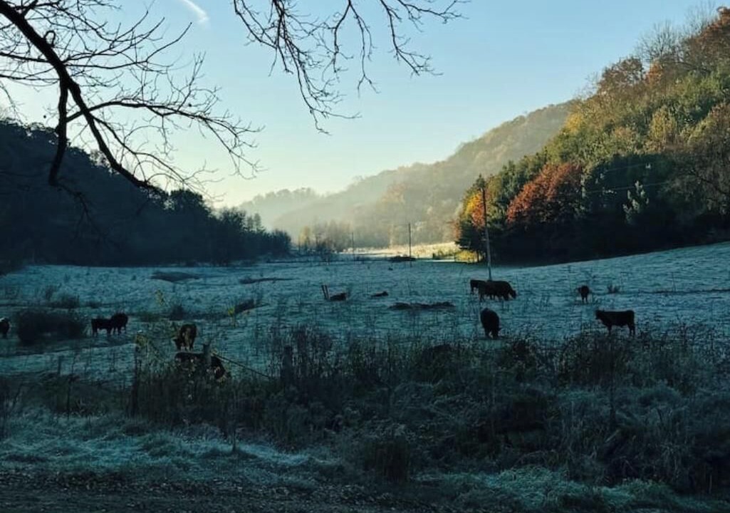 Photo of Others in Boscobel