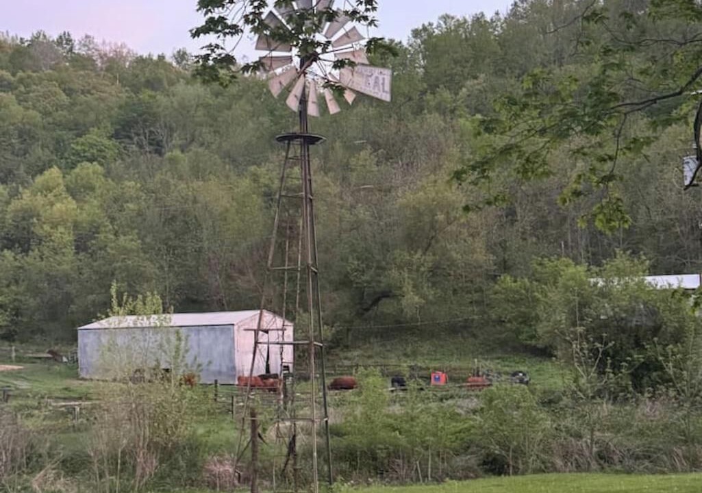 Photo of Others in Boscobel