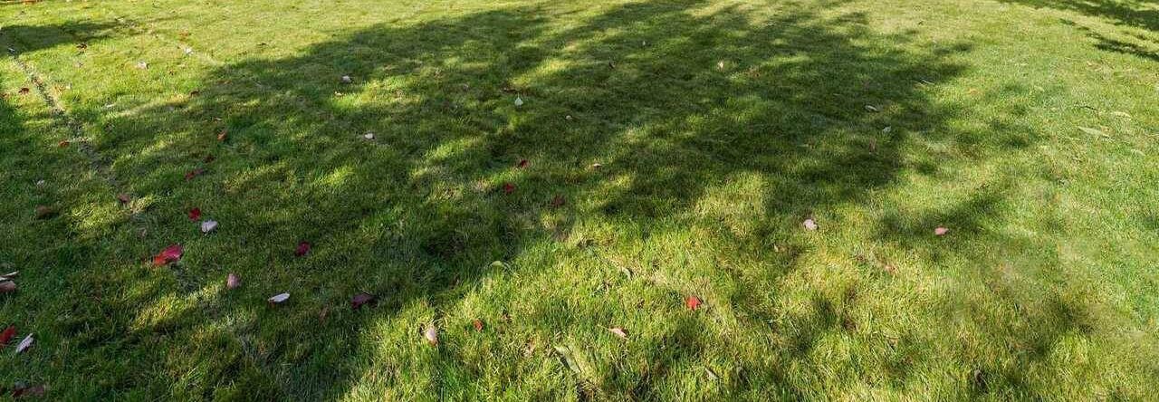 Photo of Outdoor in Bethany