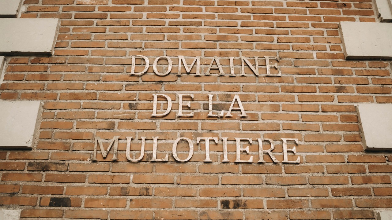 Photo of Outdoor in Langeais