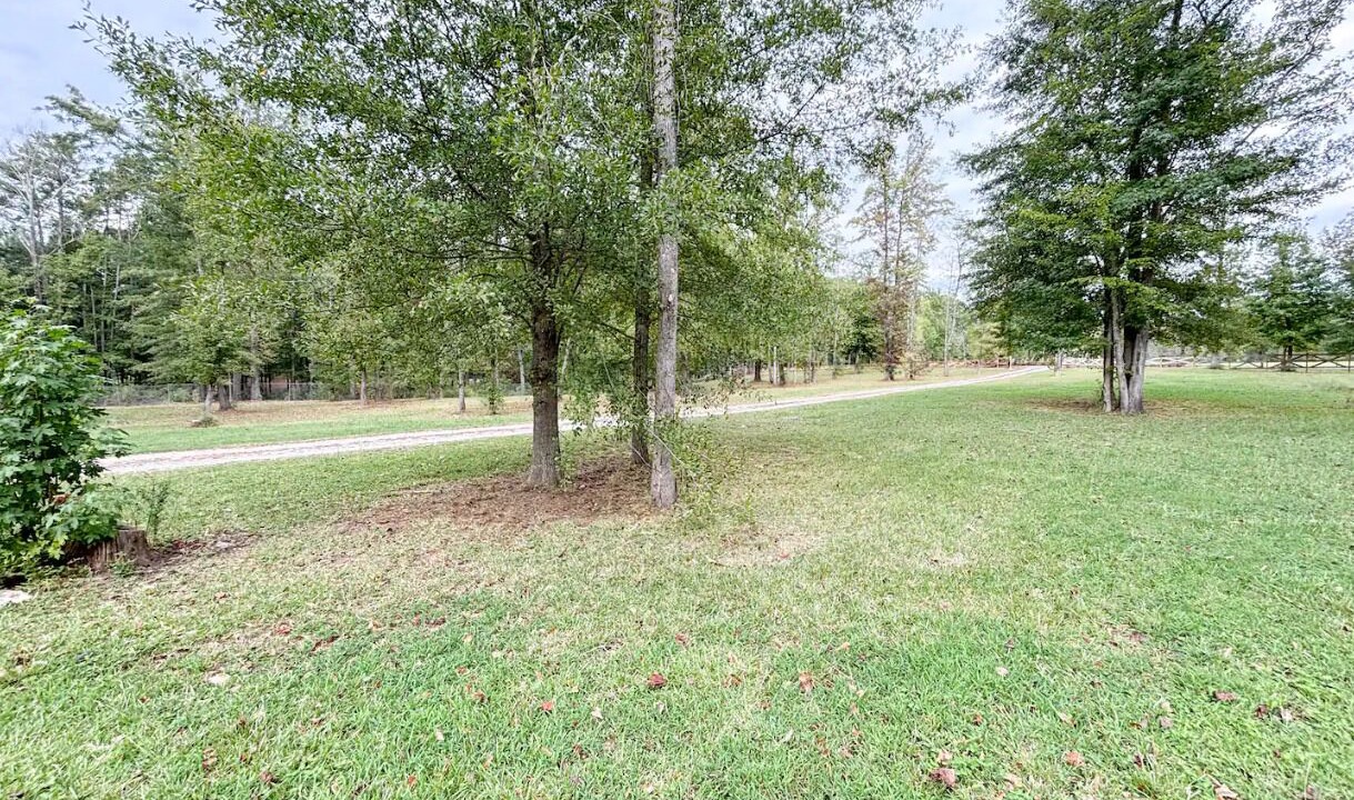 Photo of Others in Cullman
