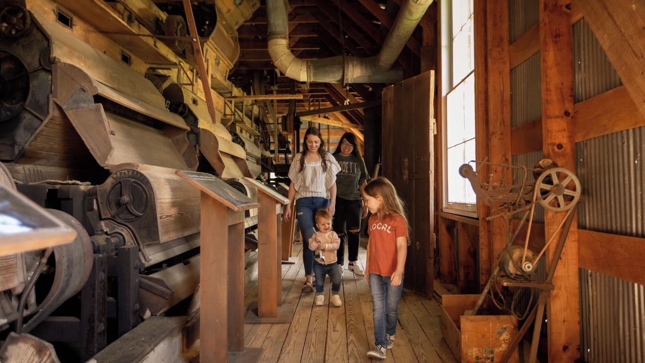 Photo of Others in Bells