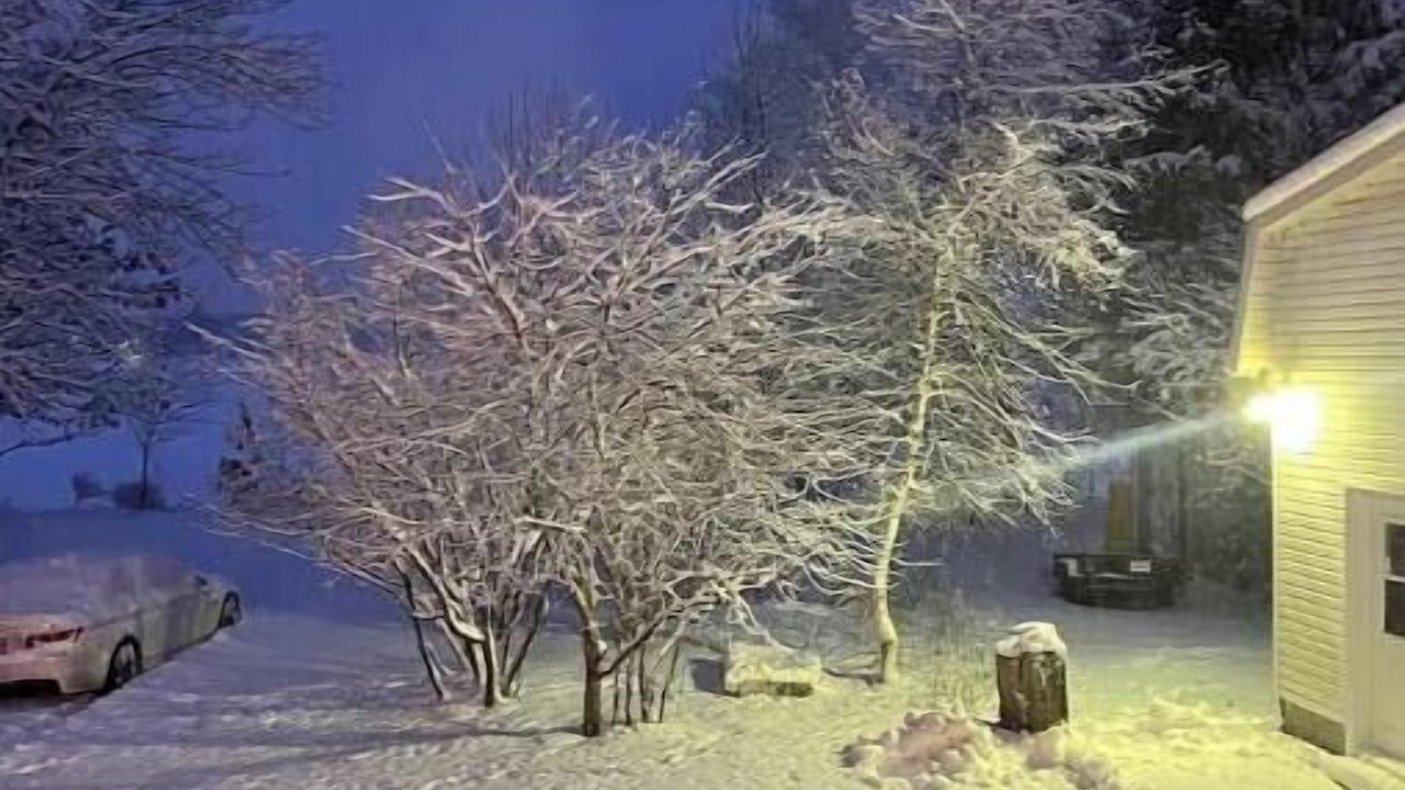 Photo of Outdoor in Shawinigan
