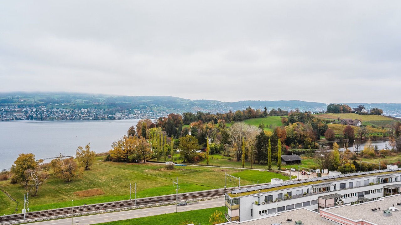 Photo of Others in Horgen District
