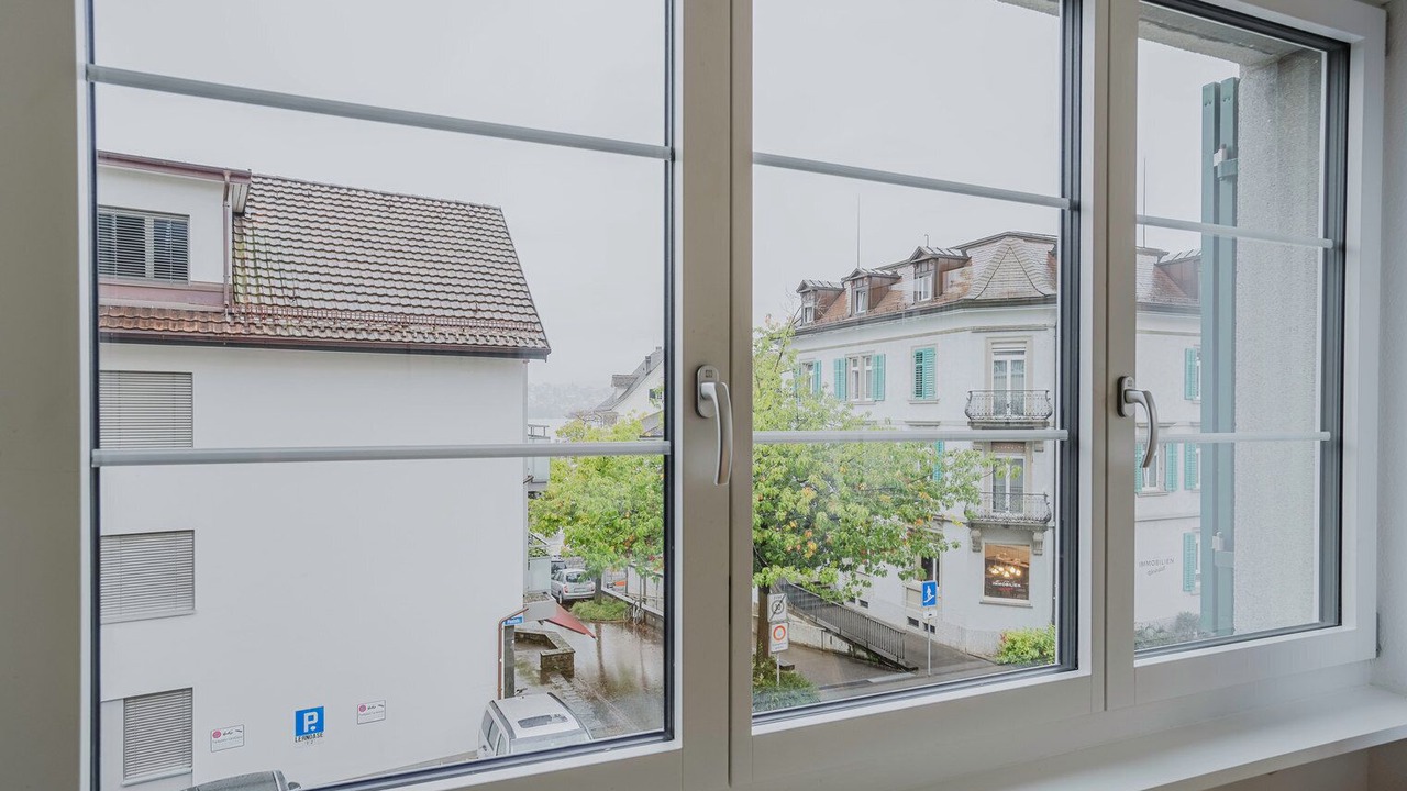 Photo of Others in Meilen District