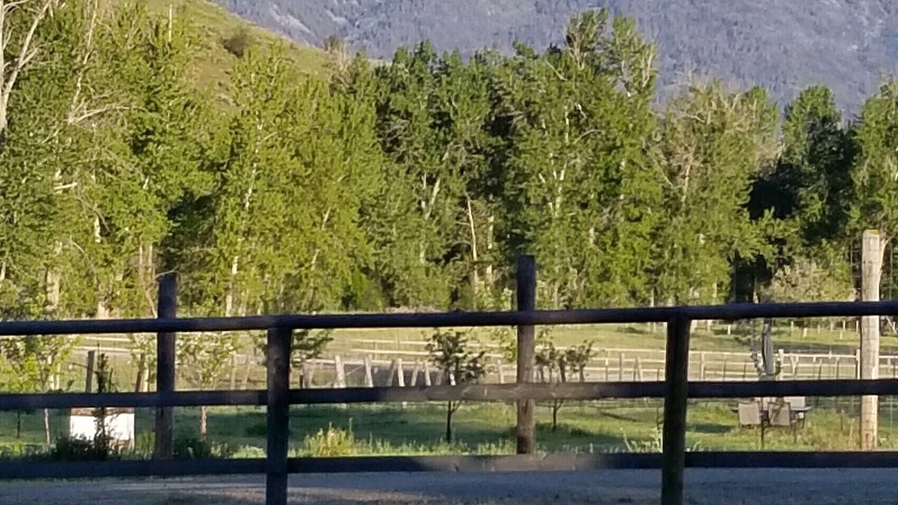 Photo of Others in Grantsdale