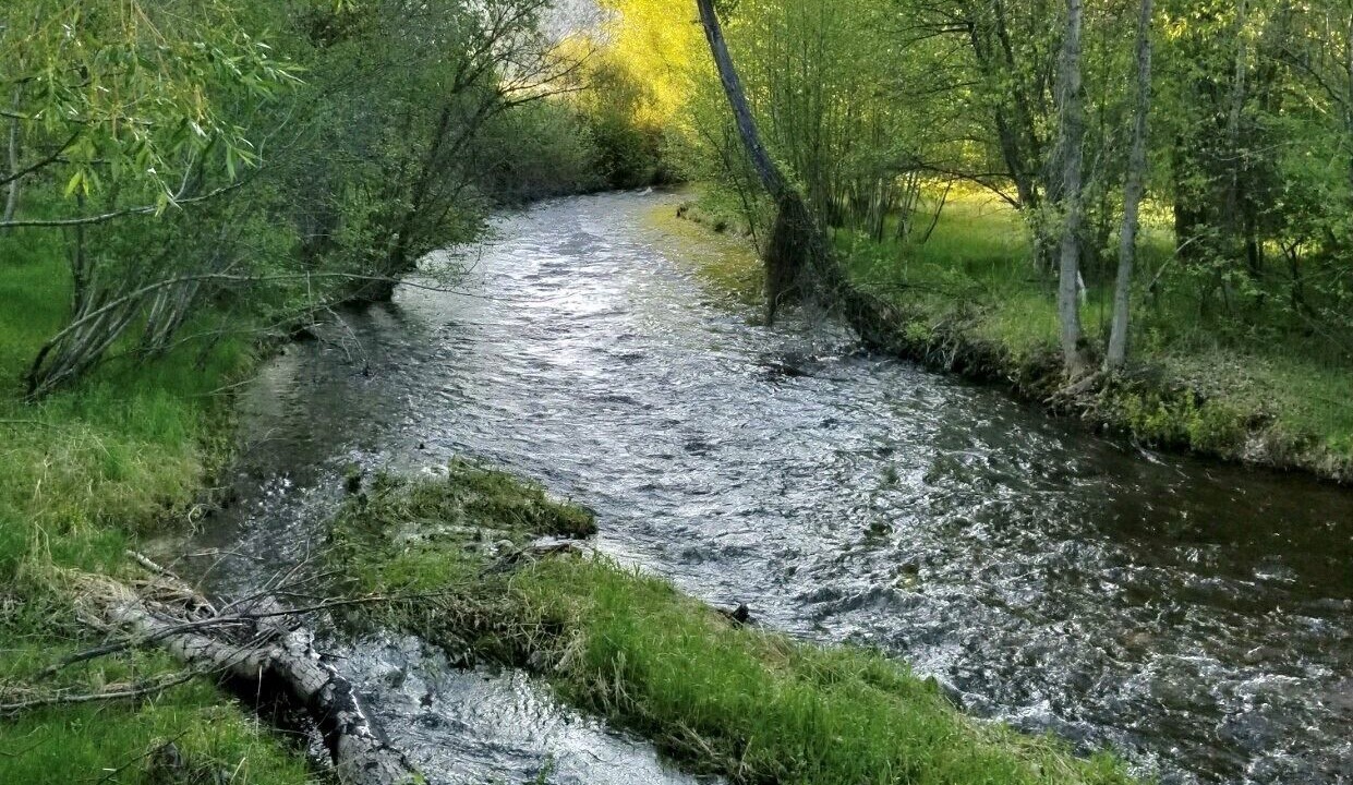 Photo of Others in Grantsdale