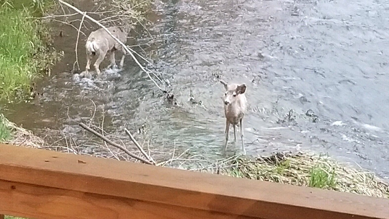 Photo of Others in Grantsdale