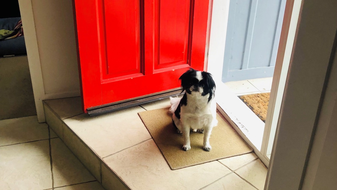 Photo of Others in Stokes Valley