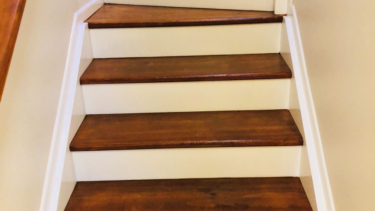 Photo of Others in Stokes Valley