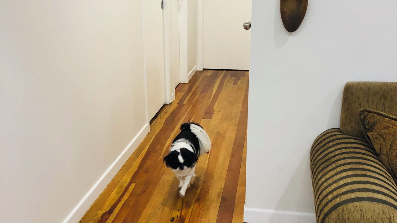 Photo of Others in Stokes Valley