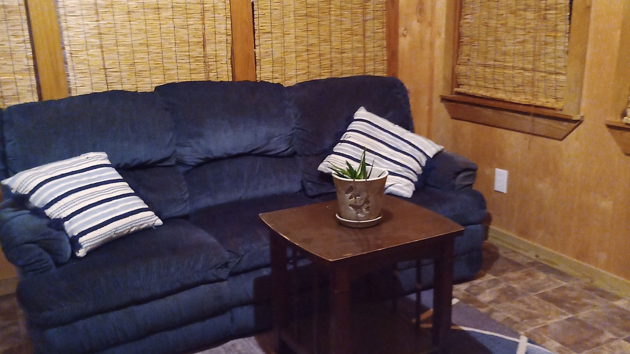 Photo of Livingroom in Roxie