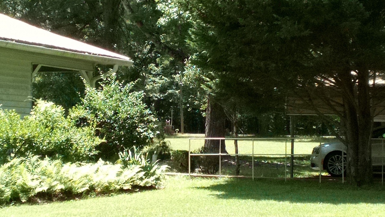 Photo of Outdoor in Roxie