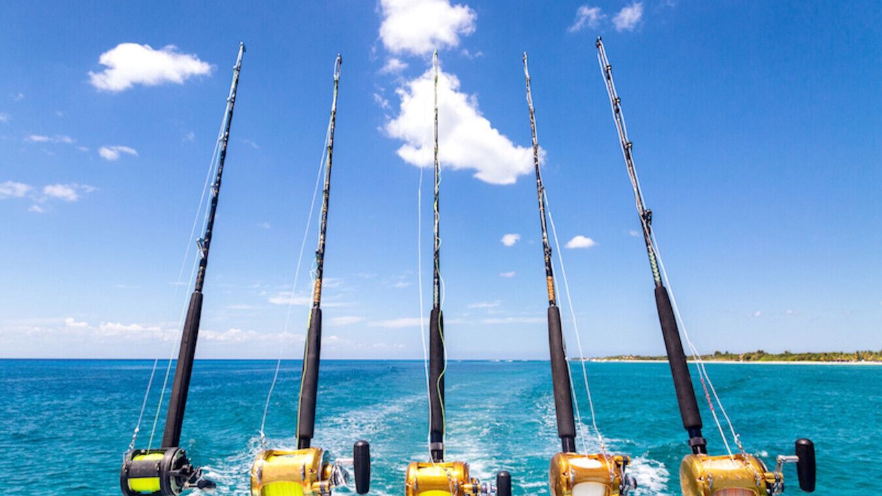 Photo of Others in O'byrne