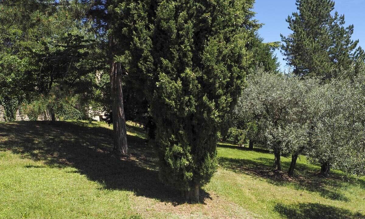 Photo of Outdoor in Manosque