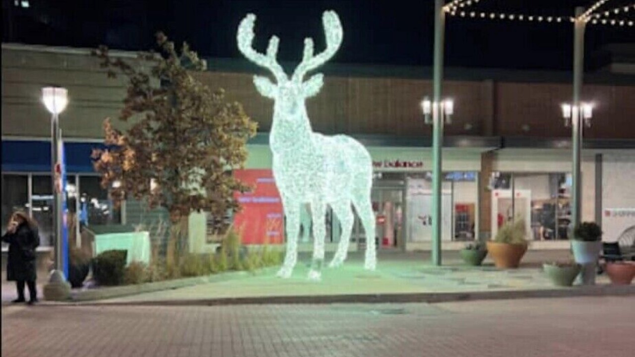 Photo of Others in Victoria Village
