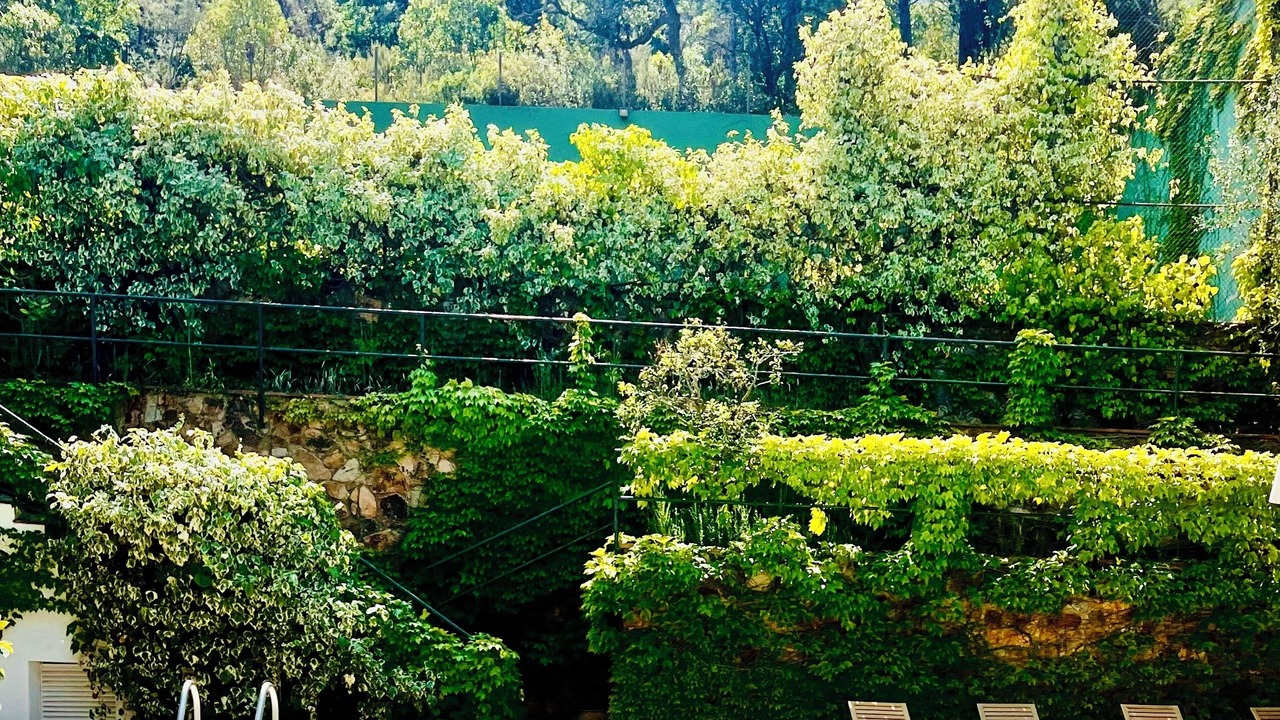 Photo of Outdoor in Canyet de Mar