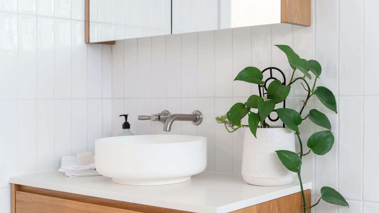 Photo of Others in Five Dock