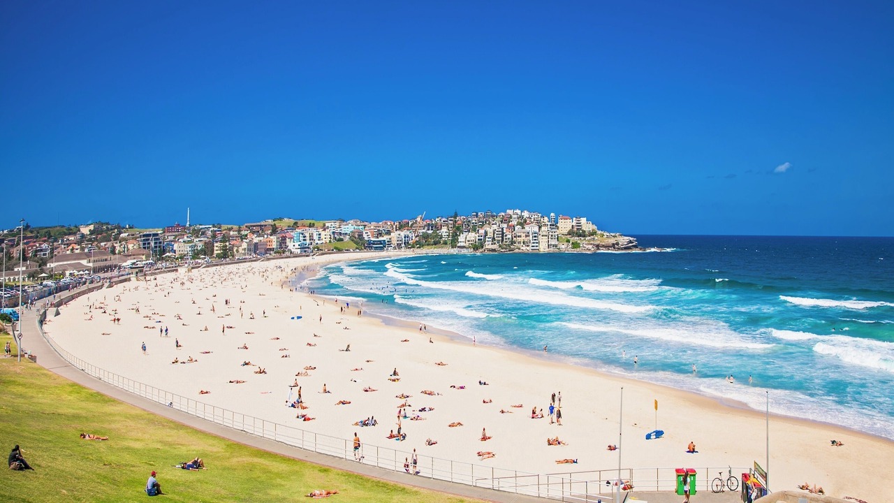 Photo of Others in North Bondi