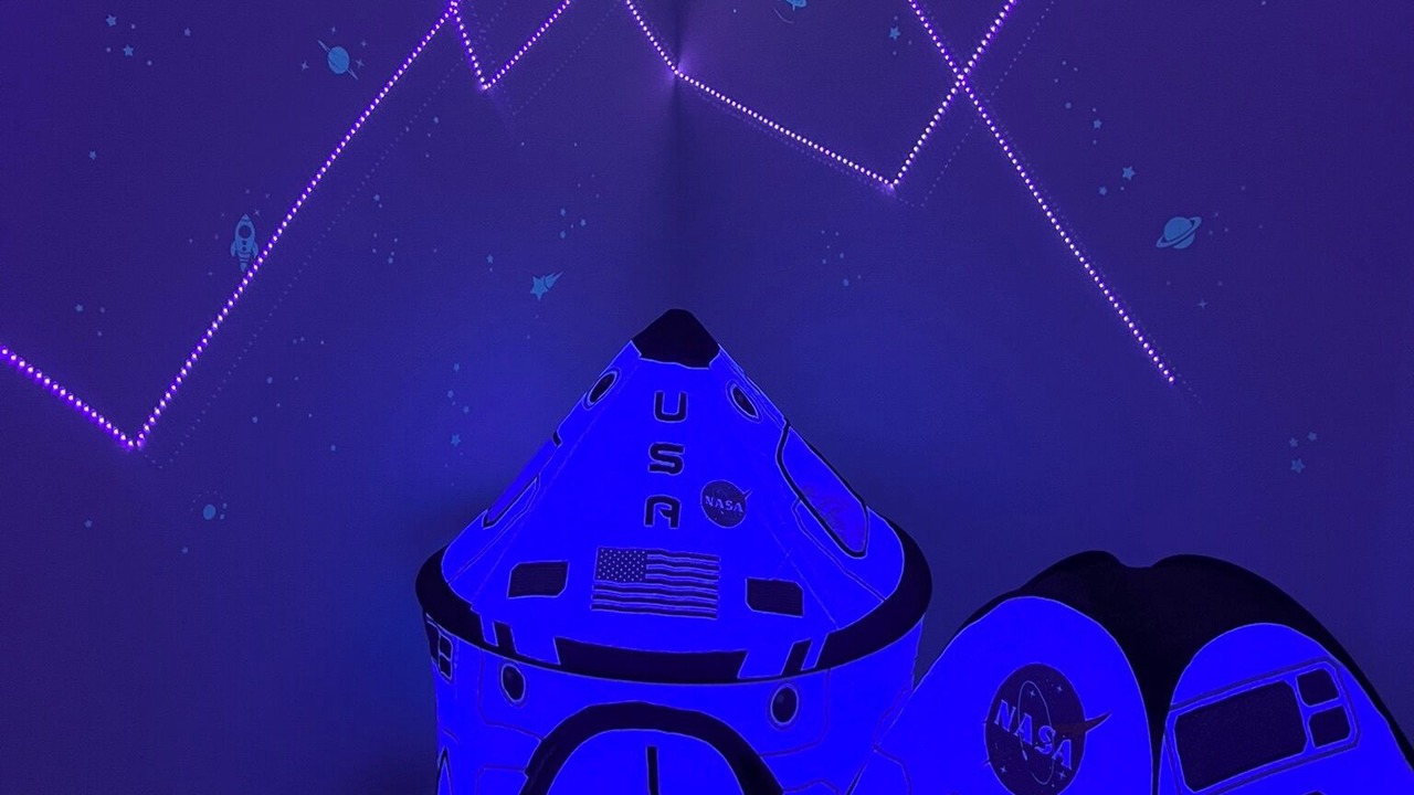 Photo of Others in Port Canaveral