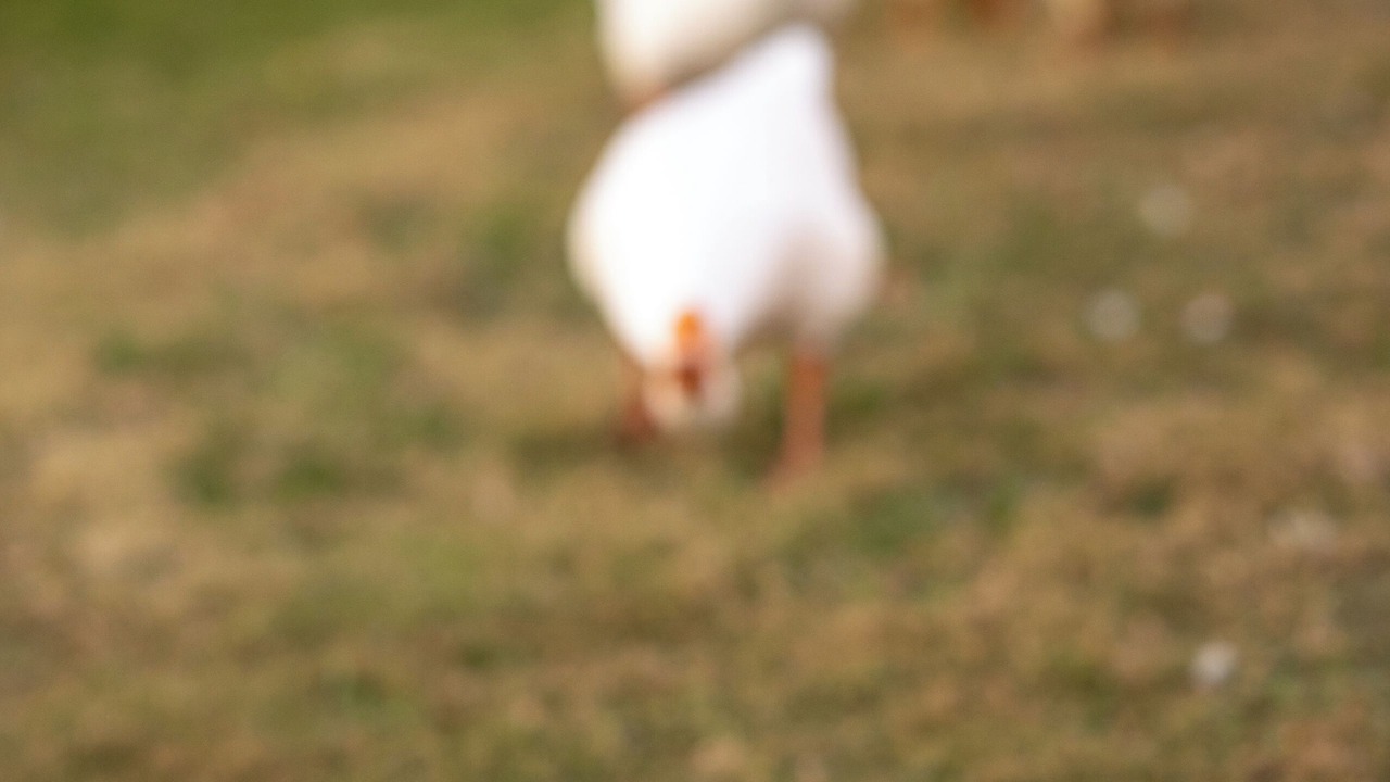 Photo of Others in Fort Worth
