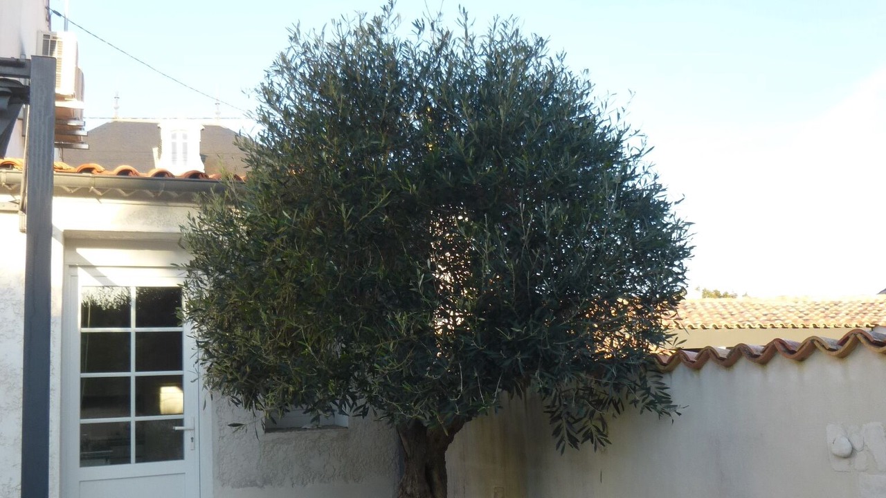 Photo of Outdoor in Arvert