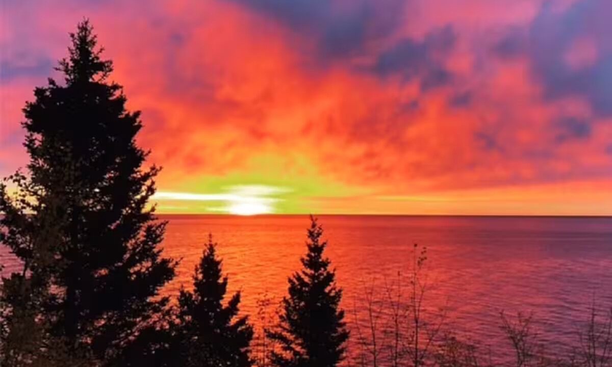 Photo of Others in Tofte