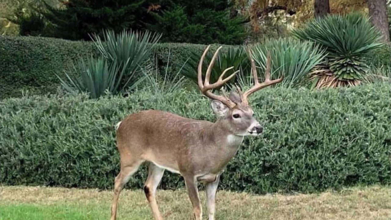 Photo of Others in Highland Lake Estates