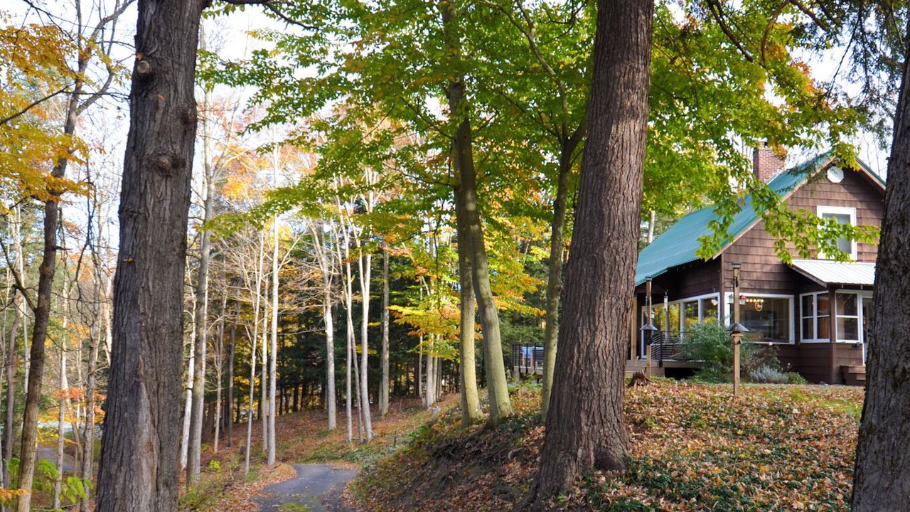 Photo of Outdoor in Colden