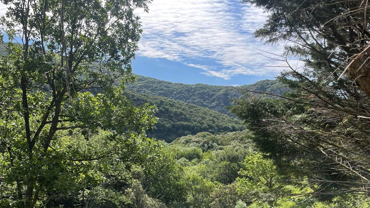 Photo of Others in La Liviniere