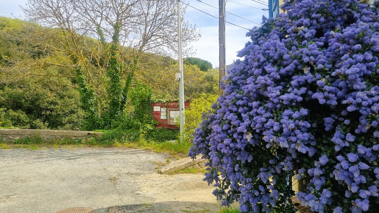 Photo of Others in La Liviniere