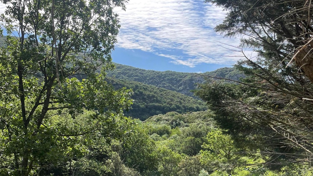 Photo of Others in La Liviniere