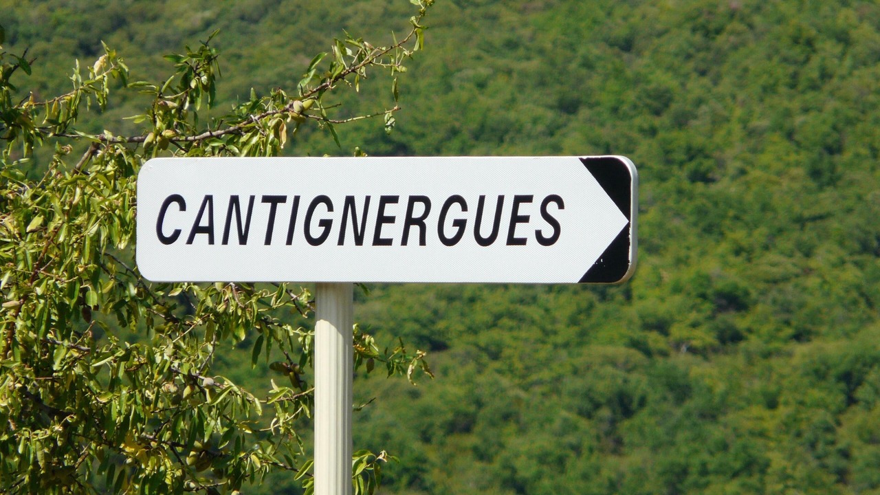 Photo of Others in La Liviniere