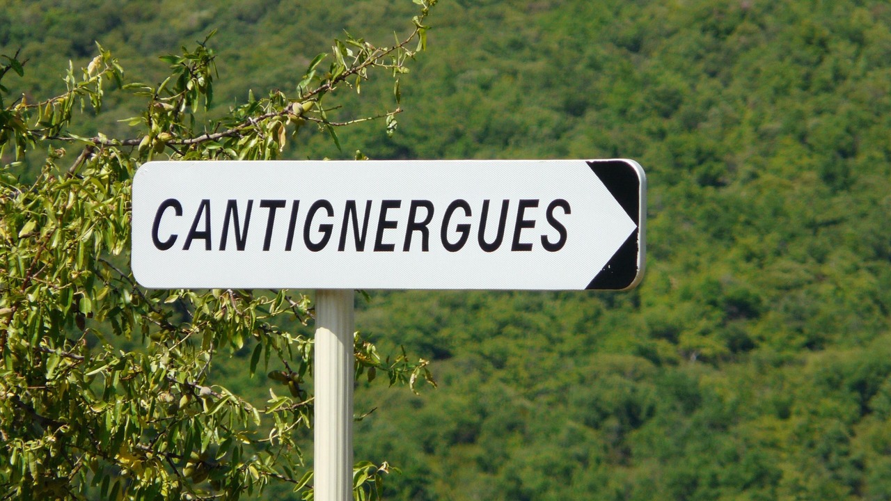 Photo of Others in La Liviniere