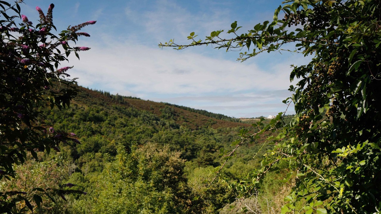 Photo of Others in La Liviniere