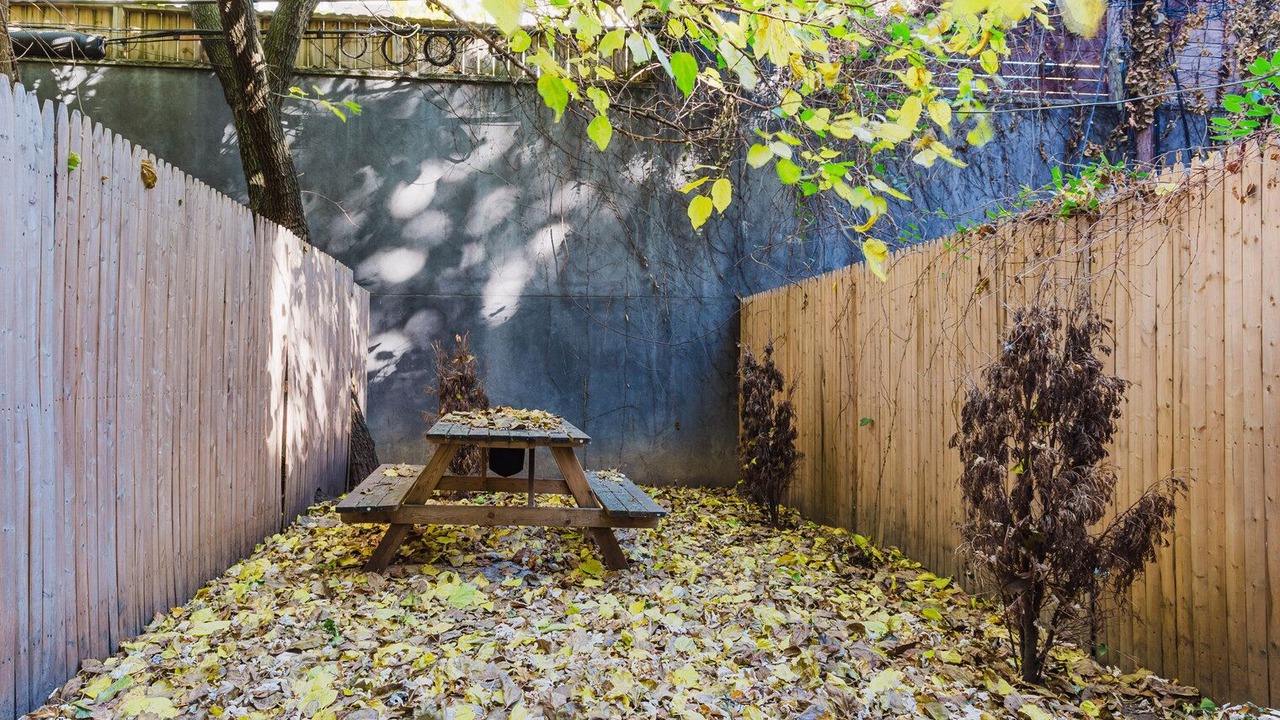 Photo of Outdoor in Williamsburg