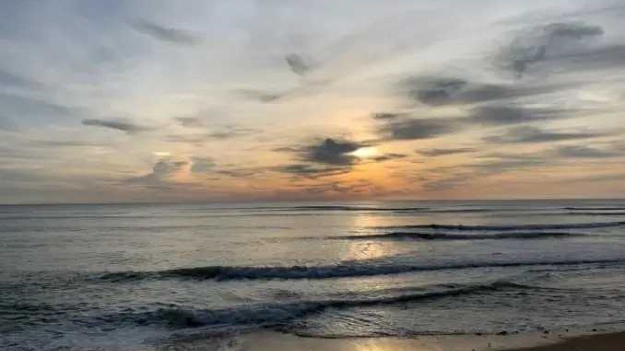 Photo of Others in Arvert